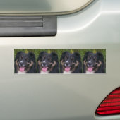 Schwarztrai Autoaufkleber (Auf Auto)