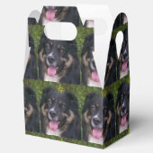 Schwarztrai Geschenkschachtel (Geöffnet)