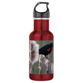 Schwarzvogel (Agelaius phoeniceus) Edelstahlflasche