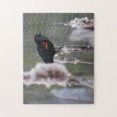 Schwarzvogel (Agelaius phoeniceus) Puzzle (Vertikal)