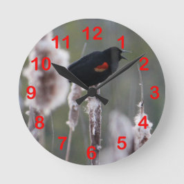 Schwarzvogel (Agelaius phoeniceus) Runde Wanduhr