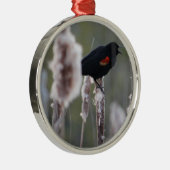 Schwarzvogel (Agelaius phoeniceus) Silbernes Ornament (Rechts)