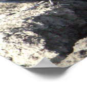 Schwarzvogelposter Poster (Ecke)