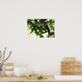 Schwarzvogelposter Poster (Küche)