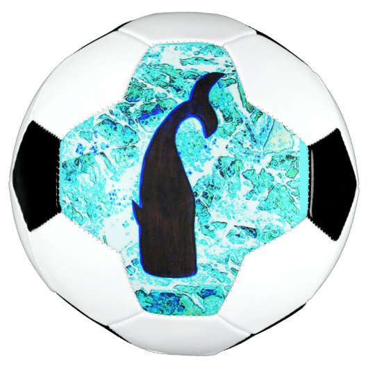 Schwarzwal Thunder_Cove Fußball (Gedreht)