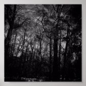 SCHWARZWALD AUF DEM POSTER (Vorne)