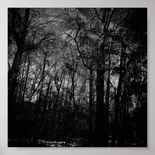 SCHWARZWALD AUF DEM POSTER (Vorne)