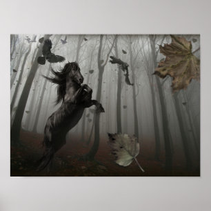 Schwarzwald Poster