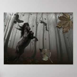 Schwarzwald Poster