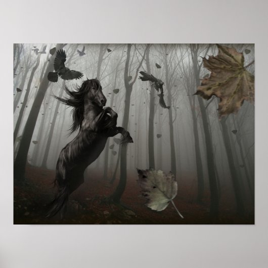 Schwarzwald Poster (Vorne)