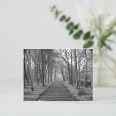 Schwarzwald Postkarte (Stehend Vorderseite)