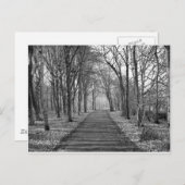 Schwarzwald Postkarte (Vorne/Hinten)