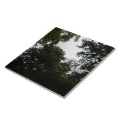 Schwarzwald-Tile Fliese (Seite)