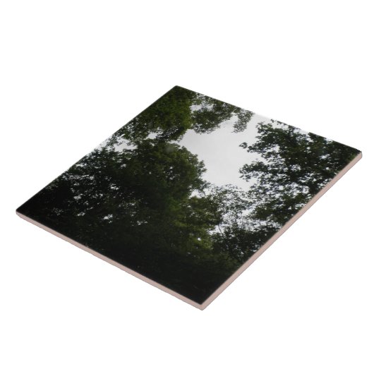 Schwarzwald-Tile Fliese (Seite)