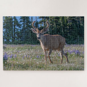 Schwarzwedelhirsch Bock Olympic National Park Puzzle