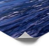 Schwarzweiß-Albatross im Flug Poster (Ecke)