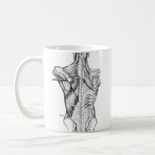 Schwarzweiss-Anatomie-Kunst-Rückenmuskel (1890) Kaffeetasse (Links)
