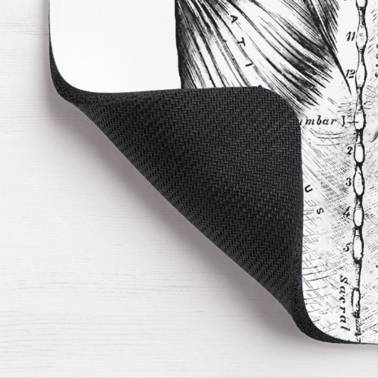 Schwarzweiss-Anatomie-Kunst-Rückenmuskel (1890) Mousepad (Ecke)