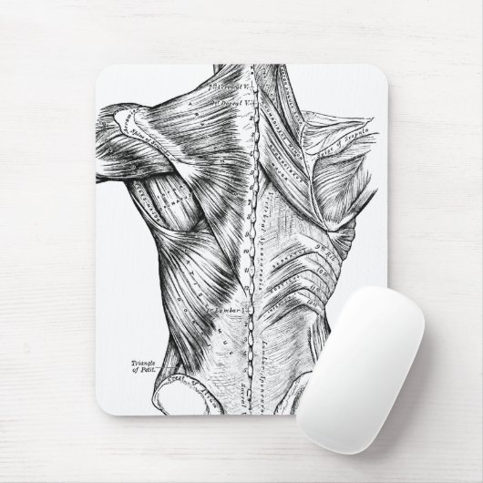 Schwarzweiss-Anatomie-Kunst-Rückenmuskel (1890) Mousepad (Mit Mouse)