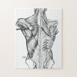 Schwarzweiss-Anatomie-Kunst-Rückenmuskel (1890) Puzzle