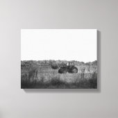 Schwarzweiß-Arbeiten im Cornfield 11x14 Leinwanddruck (Vorderseite)