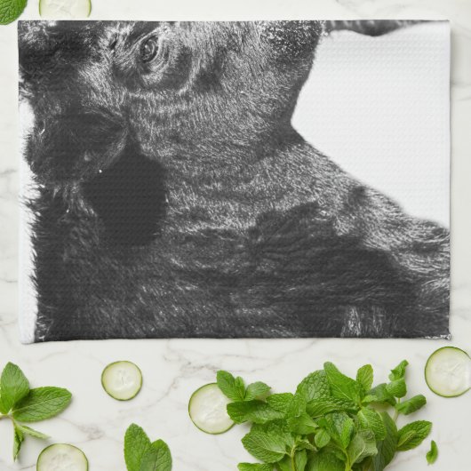 Schwarzweiss auf Angus-Vieh-Geschirrtuch Geschirrtuch (Gefaltet)