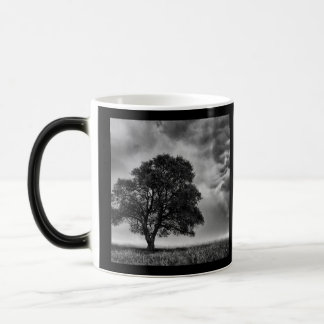 Schwarzweiß-Baum & Himmel-Foto Verwandlungstasse