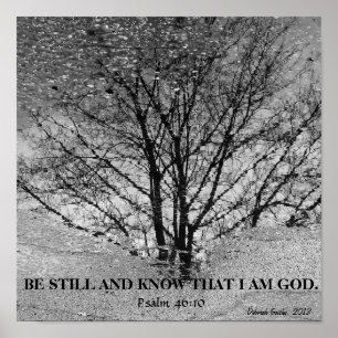 Schwarzweiss-Baumreflexion Poster