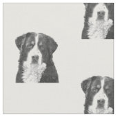 Schwarzweiss-Bernese Gebirgshund Stoff (Nahaufnahme)