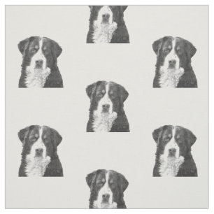 Schwarzweiss-Bernese Gebirgshund Stoff