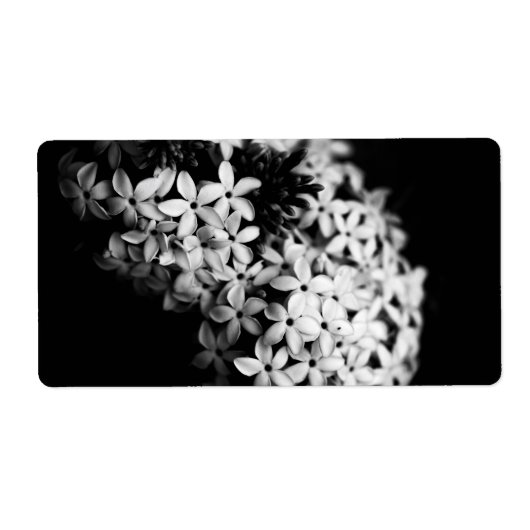 Schwarzweiß-Blume (Vorne)