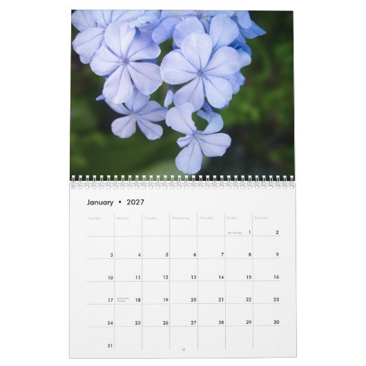 Schwarzweiß-Blume Kalender (Jan 2027)