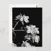 Schwarzweiß-Blume Postkarte (Vorne/Hinten)