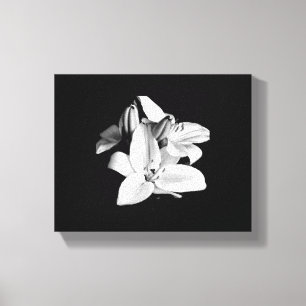 Schwarzweiß-Blume-StretchCanvas Leinwanddruck