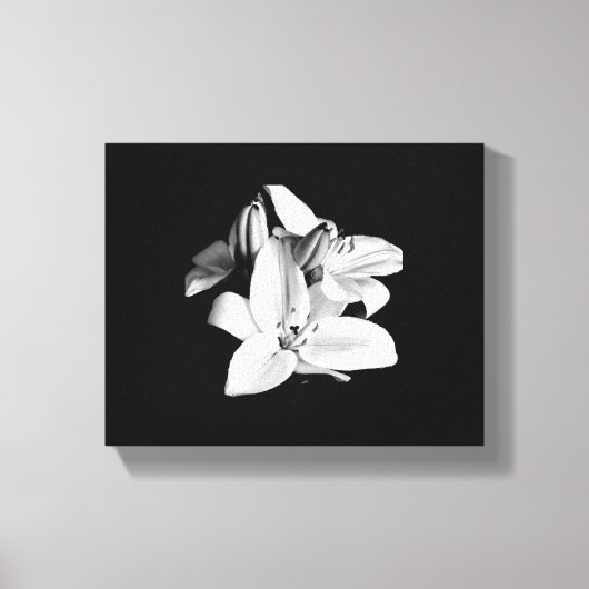Schwarzweiß-Blume-StretchCanvas Leinwanddruck (Vorderseite)
