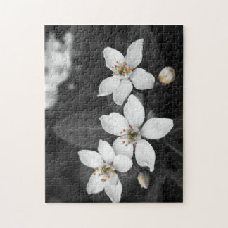 Schwarzweiss-Blumen-Fotografie-Puzzlespiel Puzzle