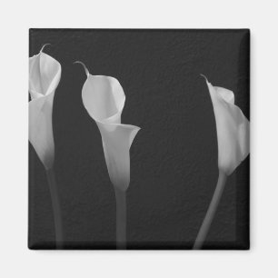 Schwarzweiss-Blumen-Magnet Magnet