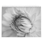 Schwarzweiss-Blumenkalender Kalender (Titelbild)