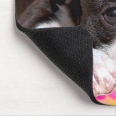 Schwarzweiss-Boston Terrier Mousepad (Ecke)