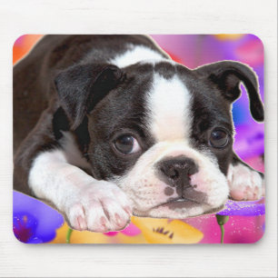Schwarzweiss-Boston Terrier Mousepad