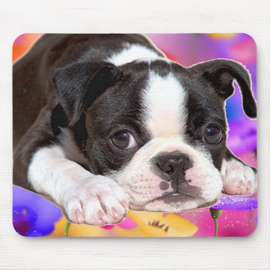 Schwarzweiss-Boston Terrier Mousepad (Vorne)