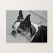 Schwarzweiss-Boston Terrier Puzzle (Horizontal)
