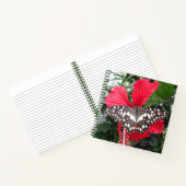Schwarzweiß-Butterfly auf Hibiskus-Notebooks Notizblock (Innenseite)
