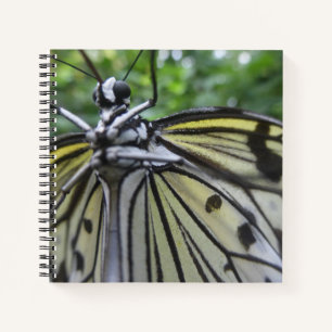 Schwarzweiß-Butterfly Nah Up-Notebook Notizblock