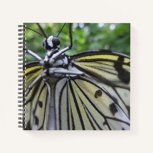 Schwarzweiß-Butterfly Nah Up-Notebook Notizblock (Vorderseite)