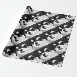 Schwarzweiss-Chihuahua Geschenkpapier