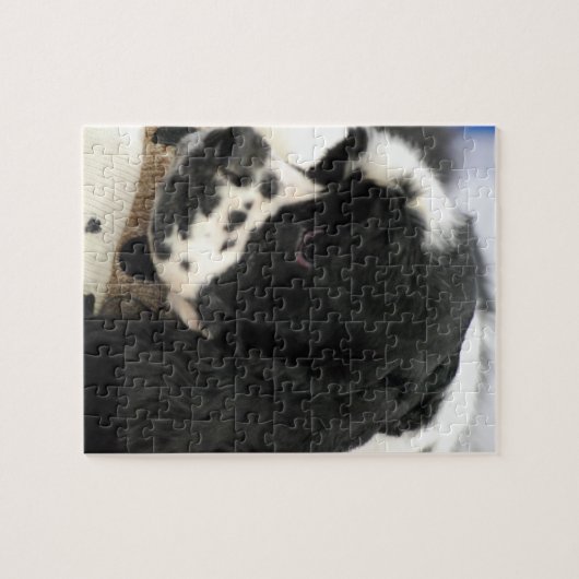 Schwarzweiss-Cocker spaniel-Puzzlespiel Puzzle (Horizontal)