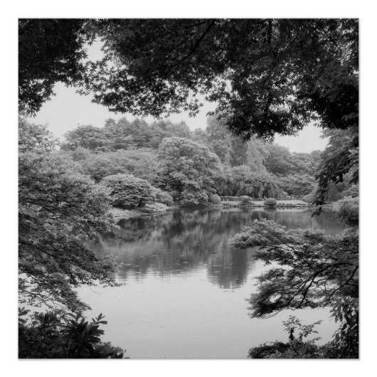 Schwarzweiß, cool, einzigartig Natur und See Poster (Vorderseite)