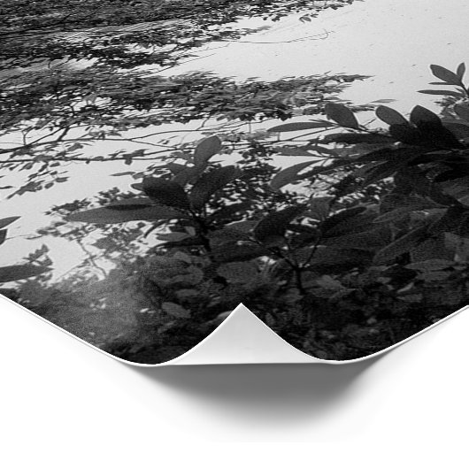 Schwarzweiß, cool, einzigartig Natur und See Poster (Ecke)