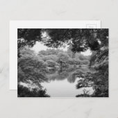 Schwarzweiß, cool, einzigartig Natur und See Postkarte (Vorne/Hinten)